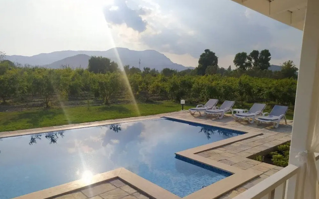 Villa in a Pomagranate Orchard