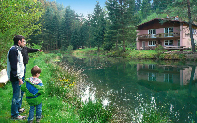 Cosy Apartment on Forellenhof, Zorn Valley, Dabo