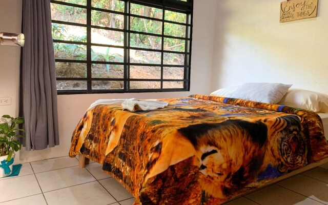 Hakuna Matata Guest House - Hostel