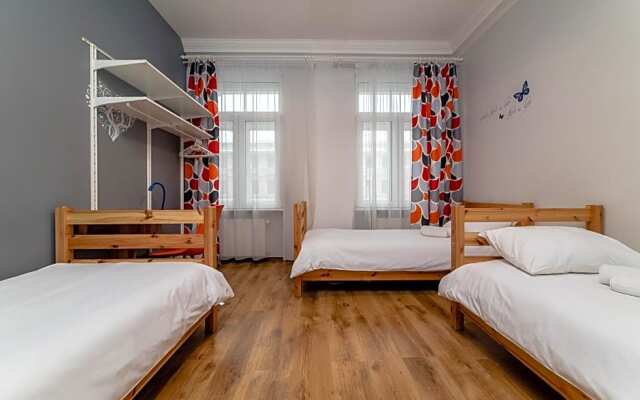 Orange Cat Rooms