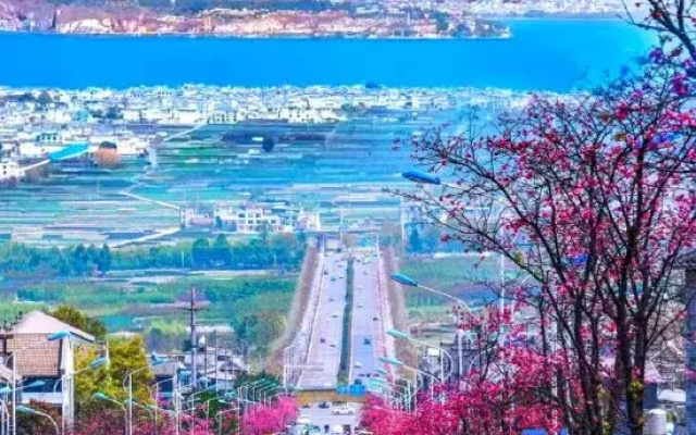 Yijia Renmei Homestay (Dali Old City Cang'er Avenue Branch)