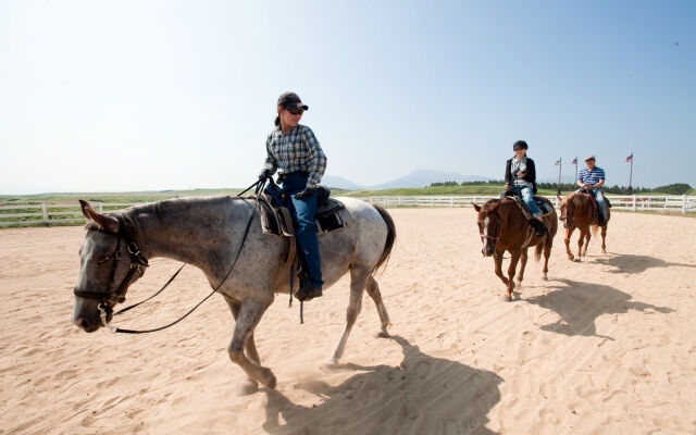 El Patio Ranch