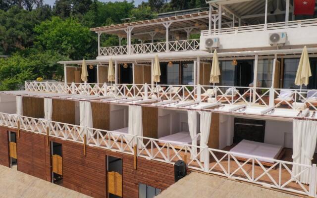 Ank’Ada Ayanikola (12+ Adult Only)