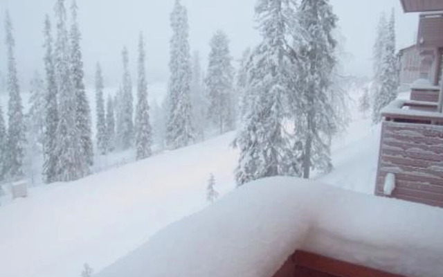 Ruka sunhill