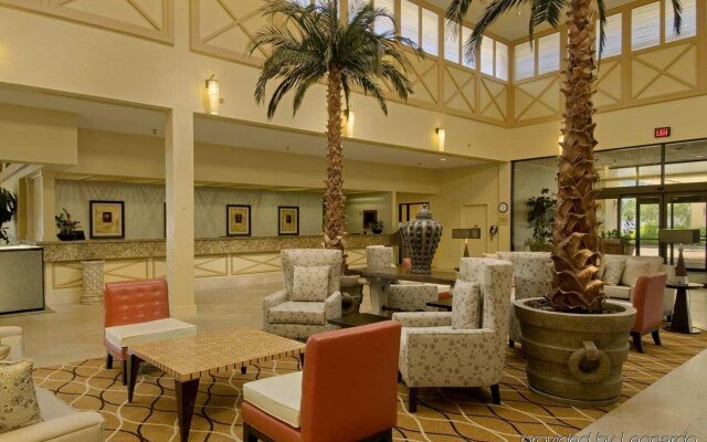 Hilton Tampa Airport Westshore