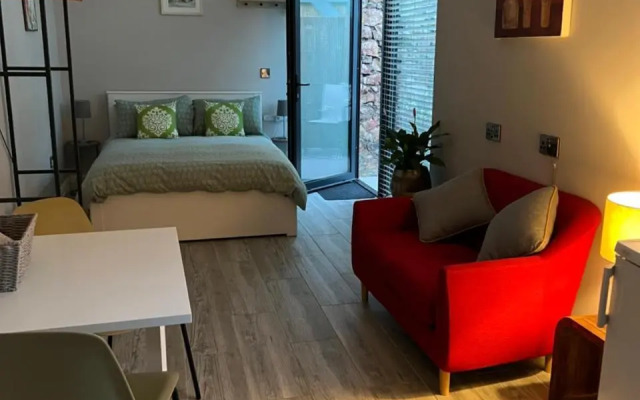 Hugo Mews Bright Studio Apartment