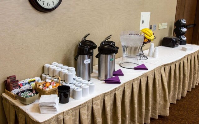 Comfort Inn Okemos - East Lansing