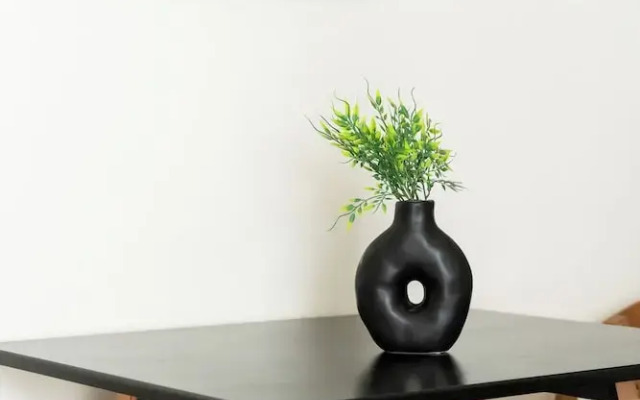 Elysee apartment 7