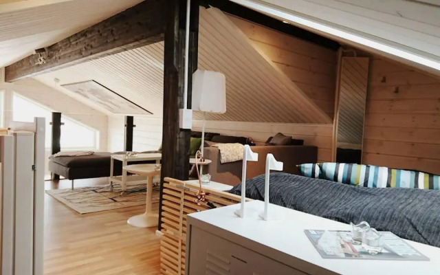 Large 8-9-bed Central Ski Innout House in Hemavan