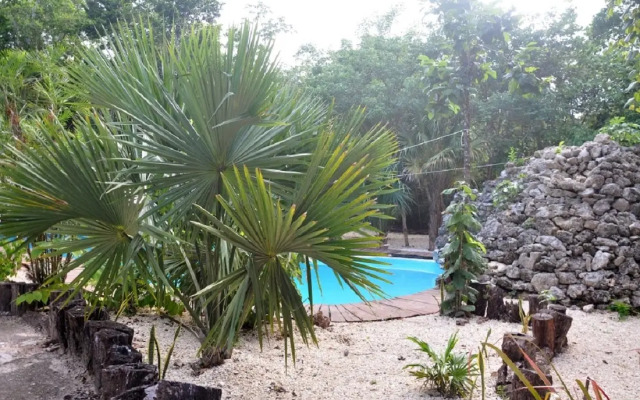 Jolie Jungle Eco Hotel