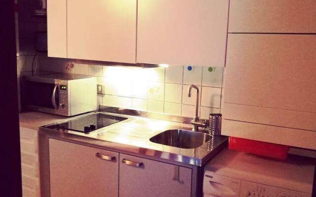 Cozy Flat in the Alps