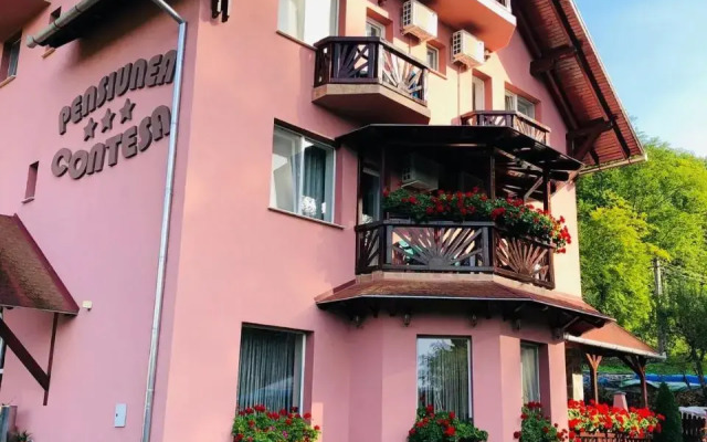 Pensiunea Contesa 3*