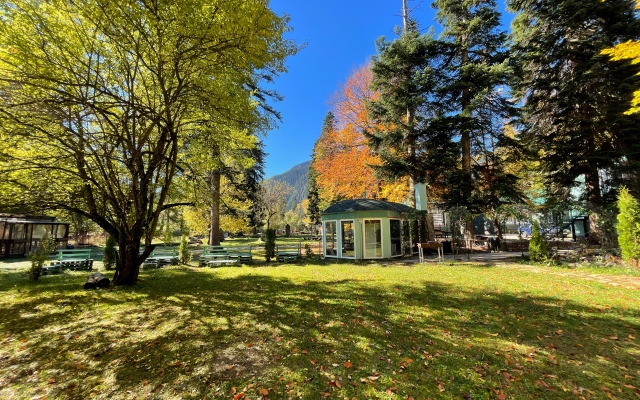 Grin Park Spa & Usadba Hotel