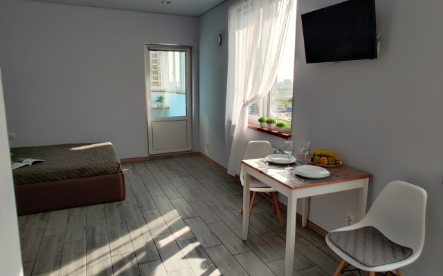 Uyutnaya Studiya U Parka Flat