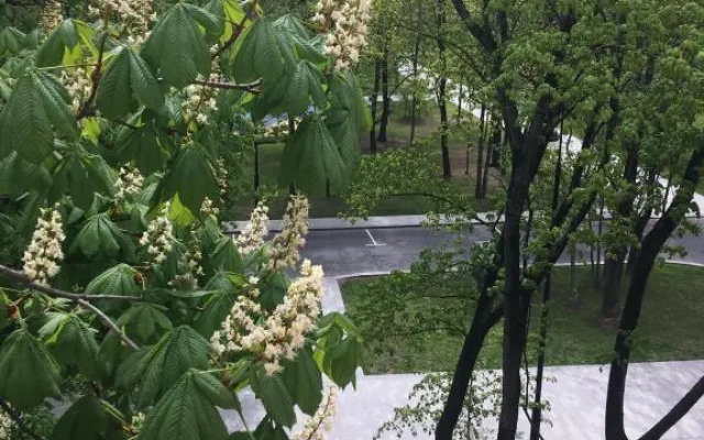 Prichal Apartments 5