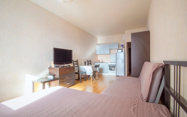 Квартира Уютная студия у Алмазова и м. Пионерская