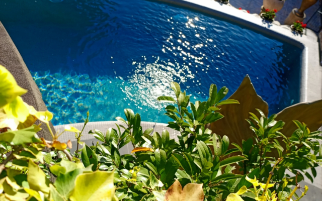 Loran Guest house