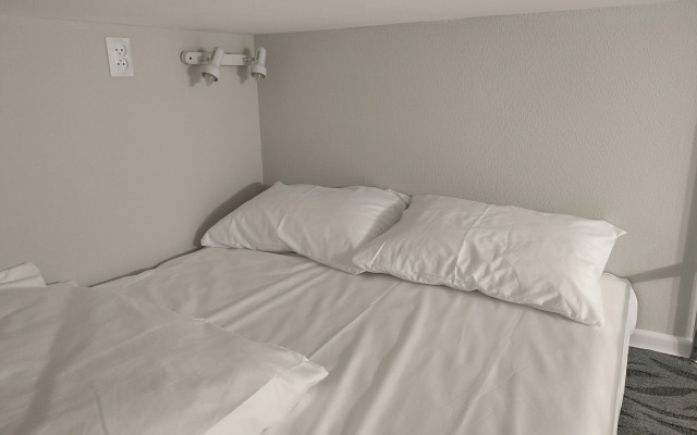 Apart-rooms by Moscow station