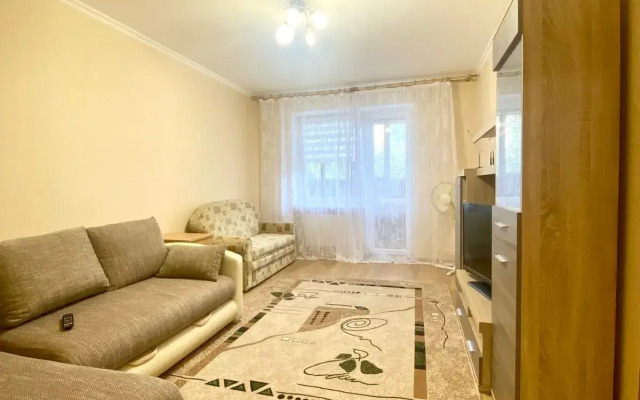 Na Chkalova 48A Flat