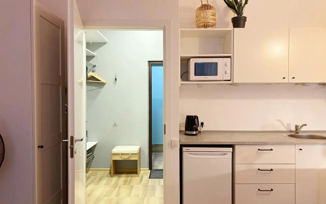 Studiya Terrakota na Bronnitskoy flat