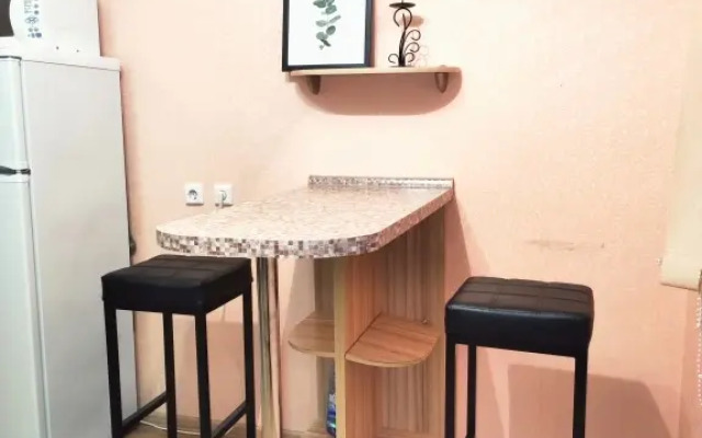 Na Studencheskoj etazh 12 Apartment