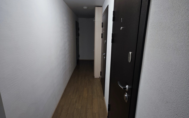 V Tsentre Goroda Flat
