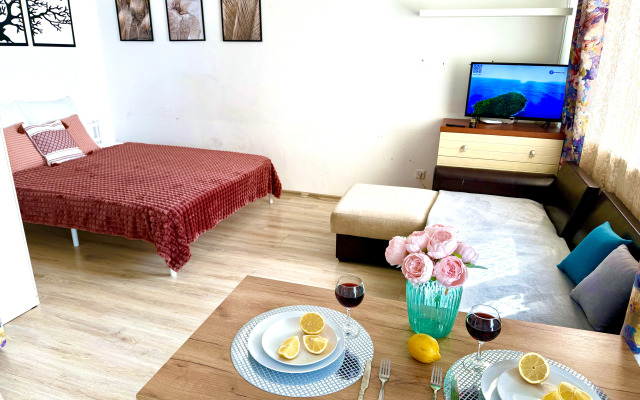 Квартира на Куконковых (Иваново, вторая Чапаева улица, дом 40а)