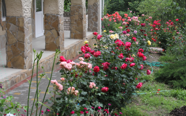 Elena Guest House