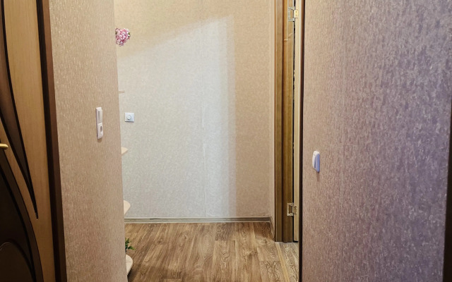 Odnokomnatnaya Aleksandrovskiy 5 Flat
