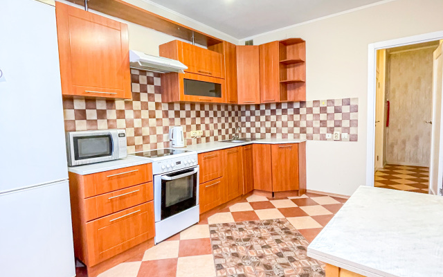 Odnokomnatnye na Guryanova 2/3 Apartments