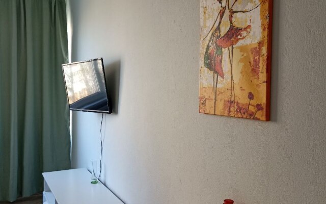 Квартира Однокомнотная квартира у метро Озерки