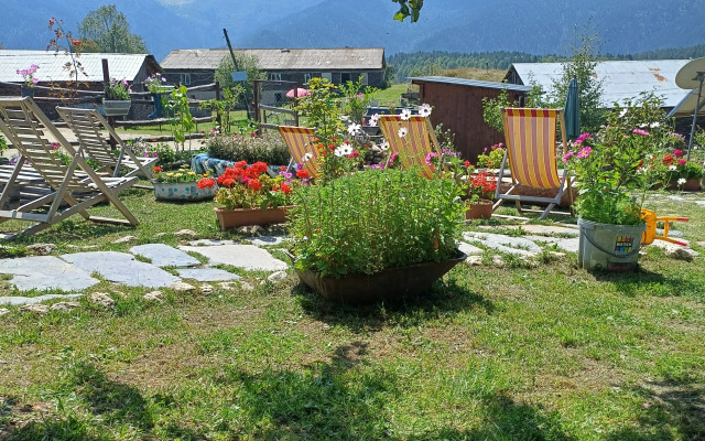 Old Omalo Guest house