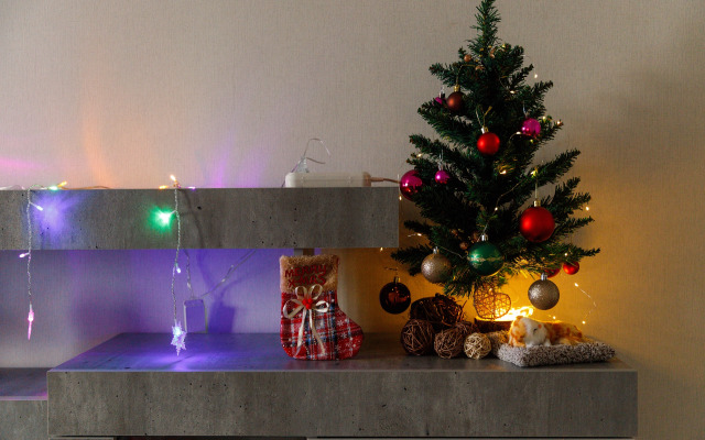 Квартира PrezentHaus Моршанское шоссе 24Г