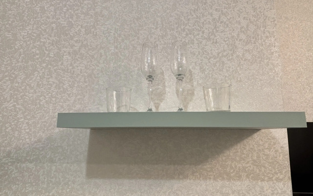 Квартира Молодежная у Сибирского Молла, Локомотив Арена