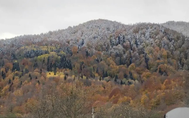 Гостевой дом Василиса Хаус