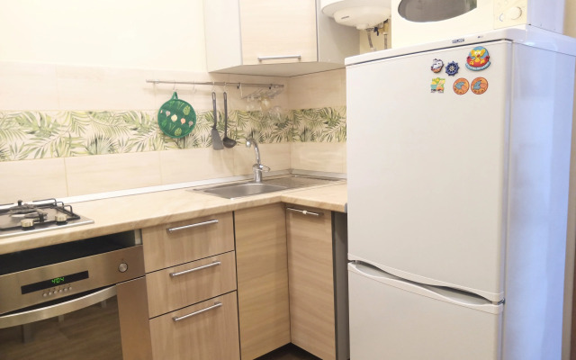V Tsentre U Reki Pskovy Flat