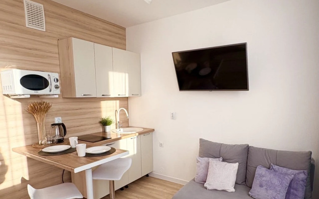 Апартаменты Рябинина 47