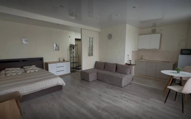 Квартира однокомнатная Грибоедова 8