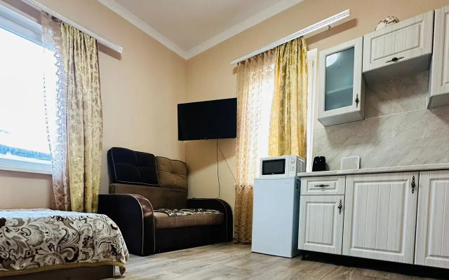 Квартира студия эконом в центре города