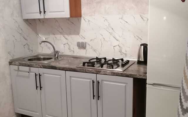 Апартаменты на Толстого 4