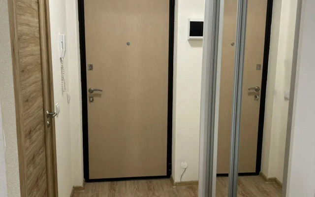 Dream House U Aeroporta Apartments