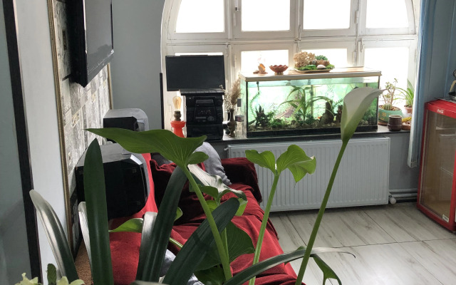 Dom Polski Guest House