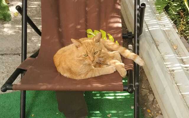 Гостевой дом на Халтурина 4