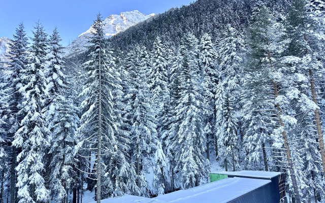 Квартира ArtHouse Dombay 9