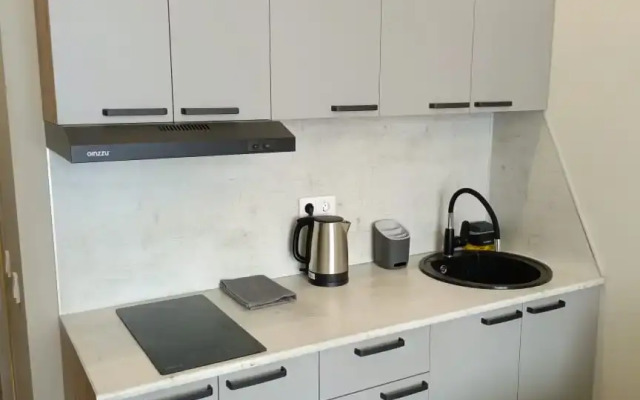 hotel Chetyrekhmestnye Apartamenty Leohotels Na Vitebskom, 99 Apartment