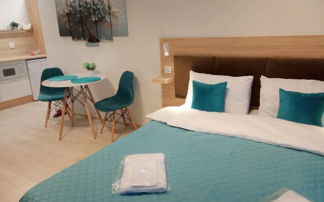 Uyutnaya Kvartira-Studiya S Vidom Na Dostoprimechatelnost Apartment