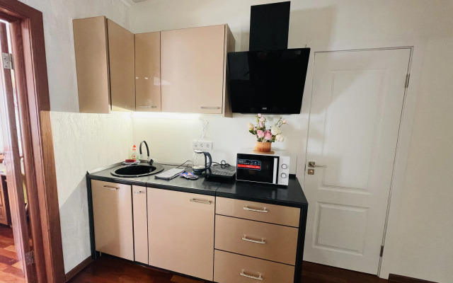 2-Kh Komnatnaya v Tsentre Goroda Flat