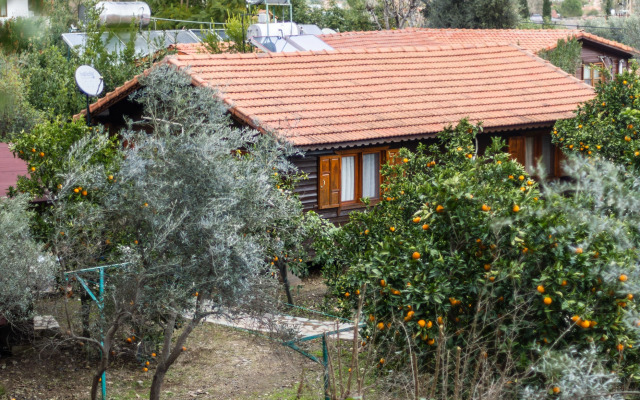 Меблированные комнаты Holiday House dilek çıralı