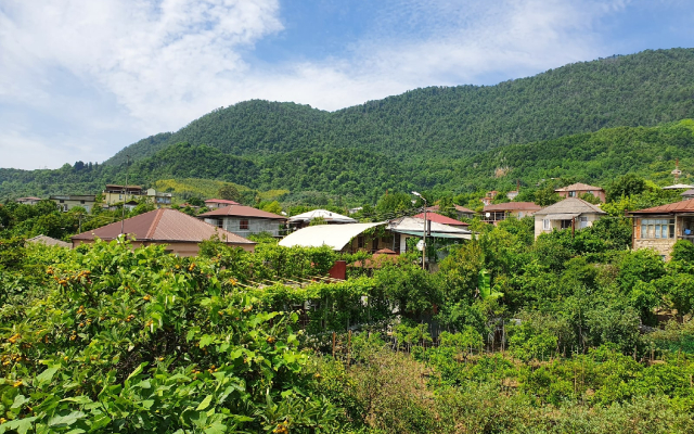 Abaza Guest House