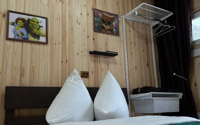 Частный дом на Свободной 70